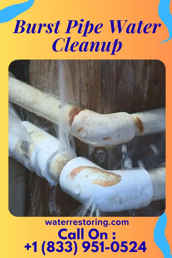 Burst Pipe Water Cleanup in Newton, MA