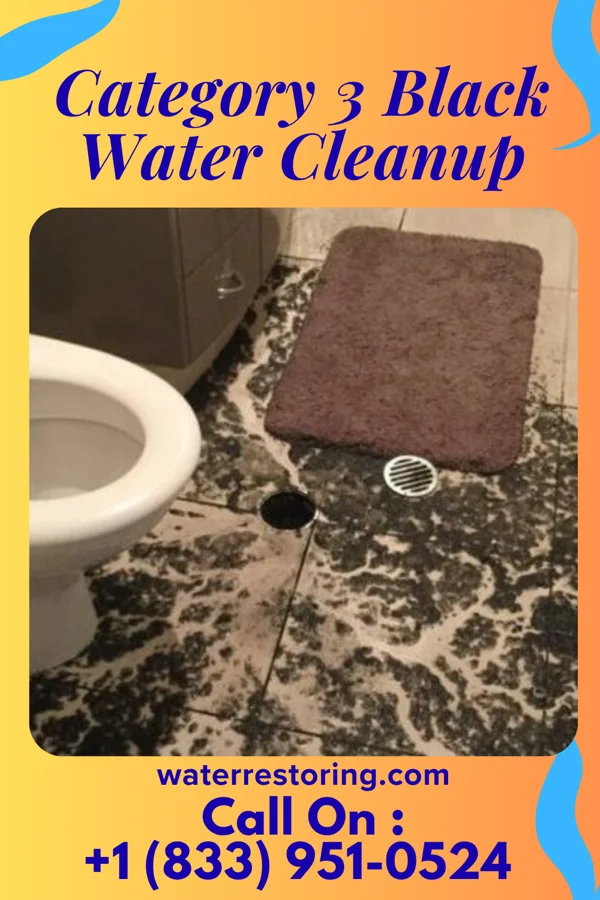 Category 3 Black Water Cleanup in Newton, MA