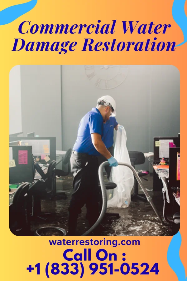 Commercial Water Damage Restoration in Newton, MA