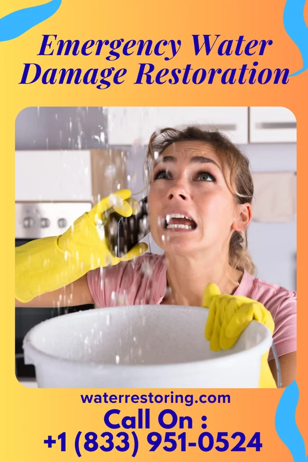 Emergency Water Damage Restoration in Newton, MA