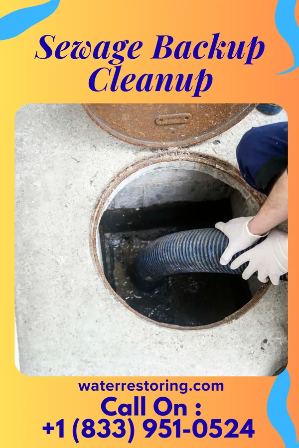 Sewage Backup Cleanup in Newton, MA